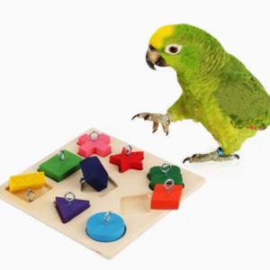 Wooden Blocks Training Toy